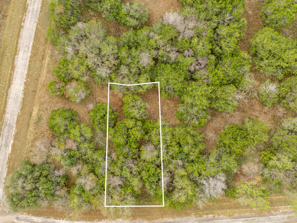 White Bluff #42 - Land