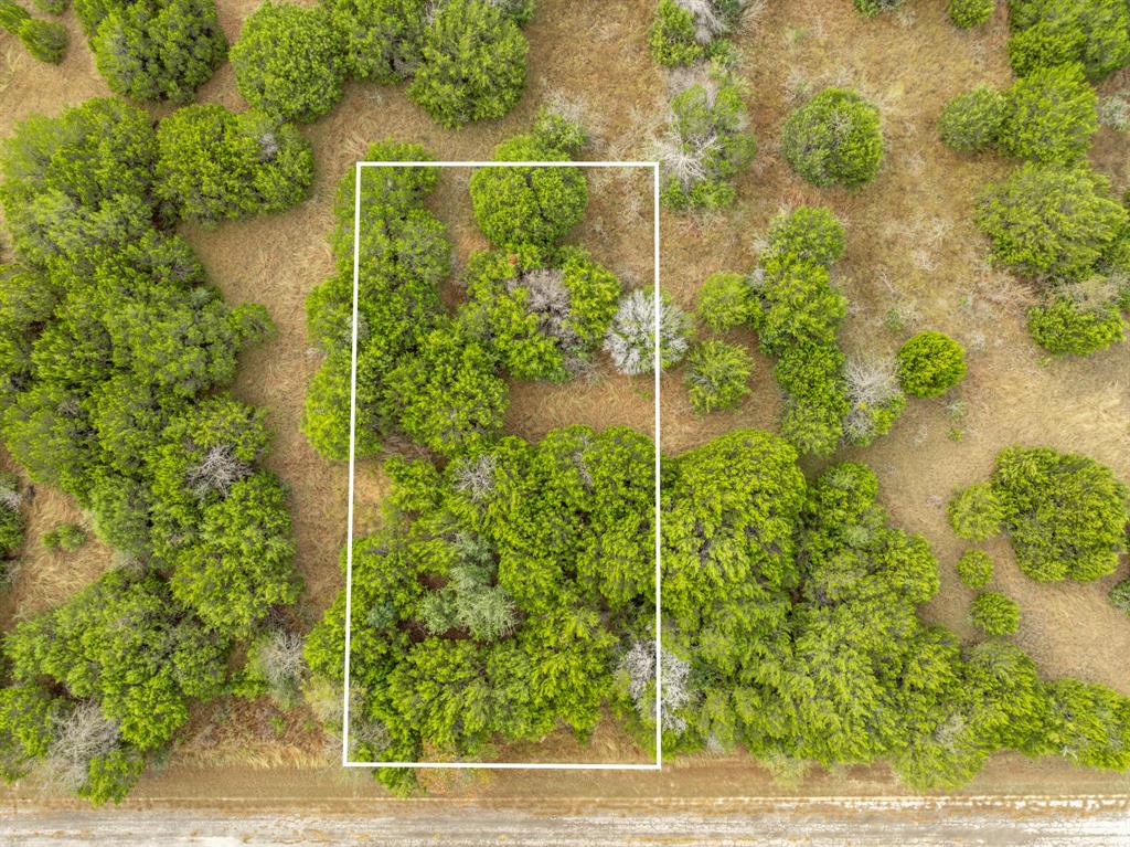 White Bluff #42 - Land