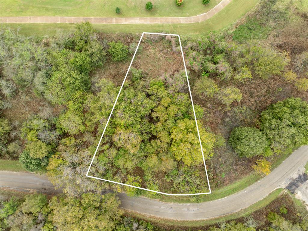 40 LOTS White Bluff