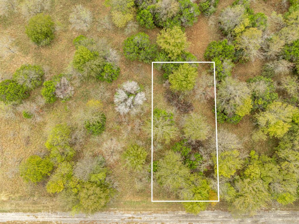 White Bluff #42 - Land