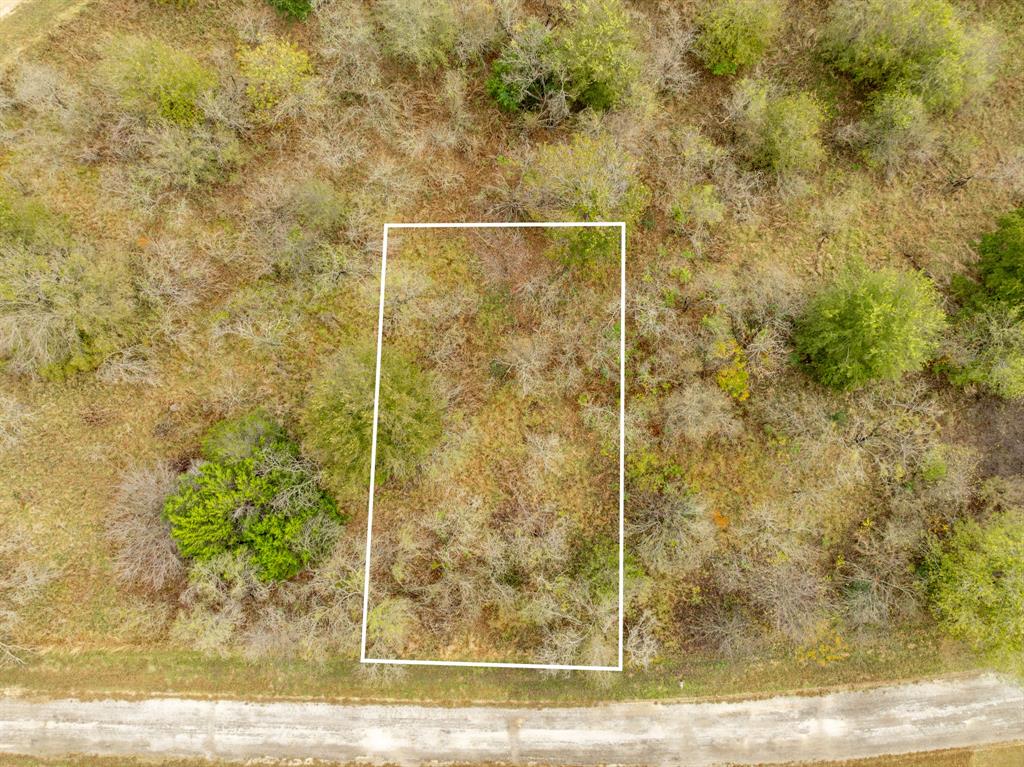 White Bluff #42 - Land