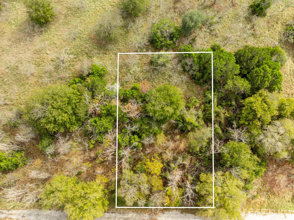 White Bluff #42 - Land