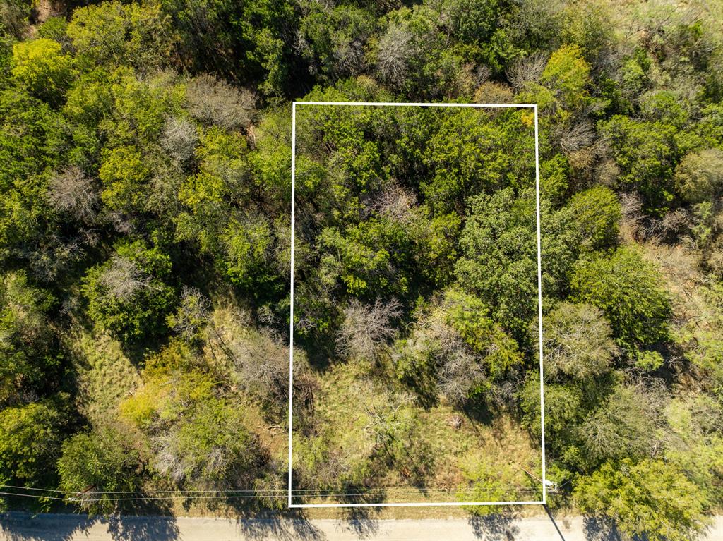 White Bluff #42 - Land