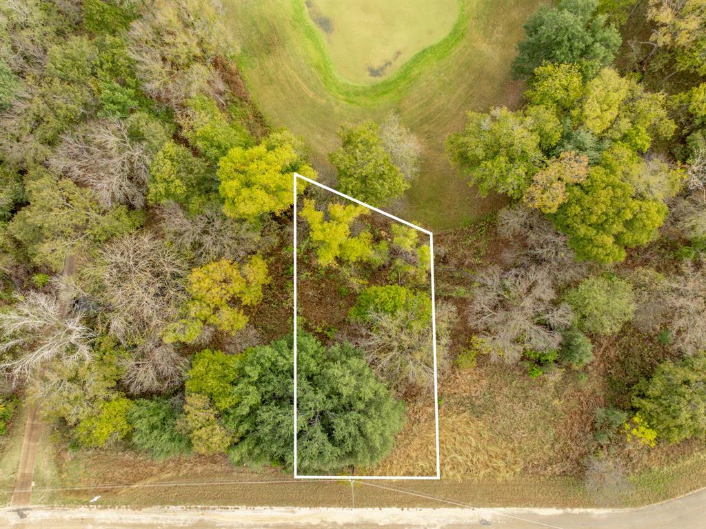 White Bluff #42 - Land