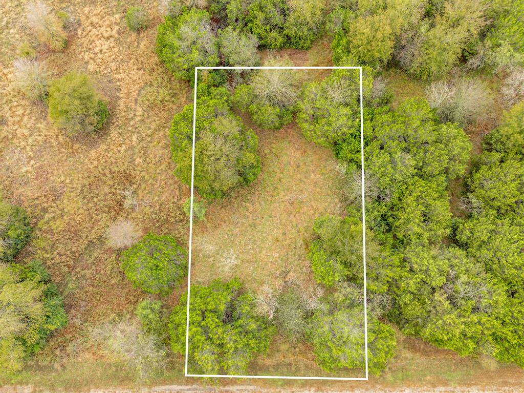 White Bluff #42 - Land