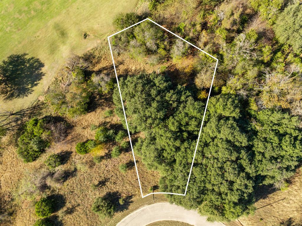 White Bluff #42 - Land