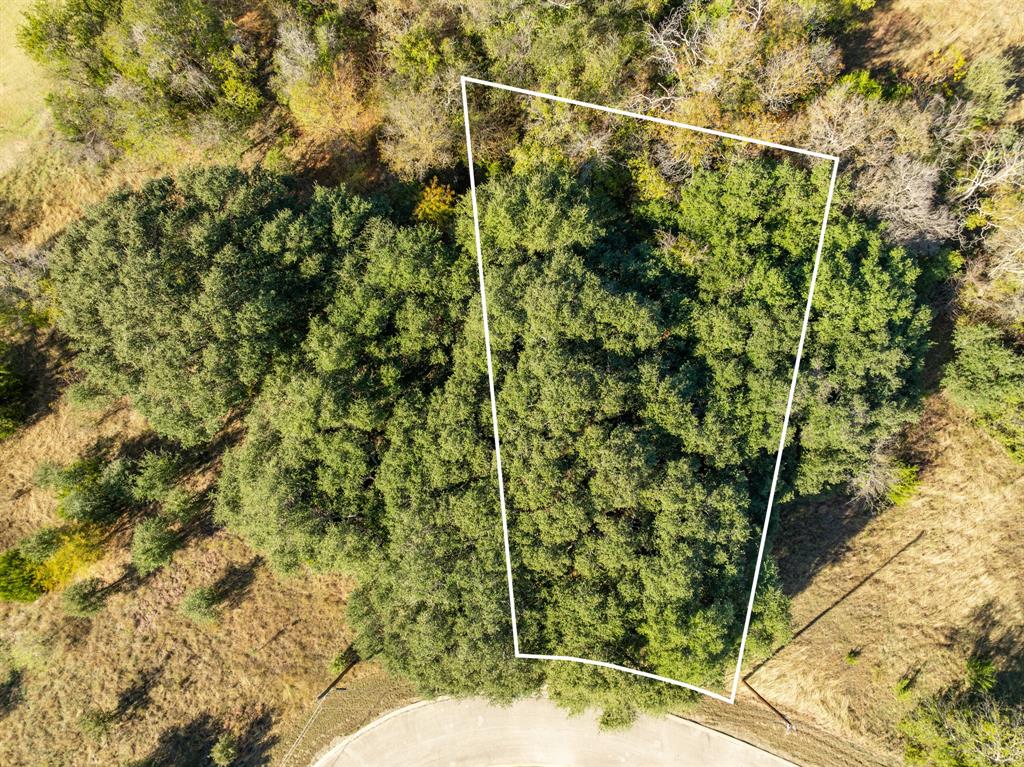 White Bluff #42 - Land