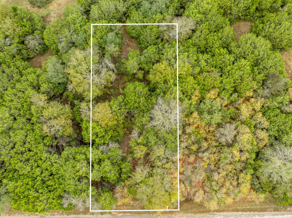White Bluff #42 - Land