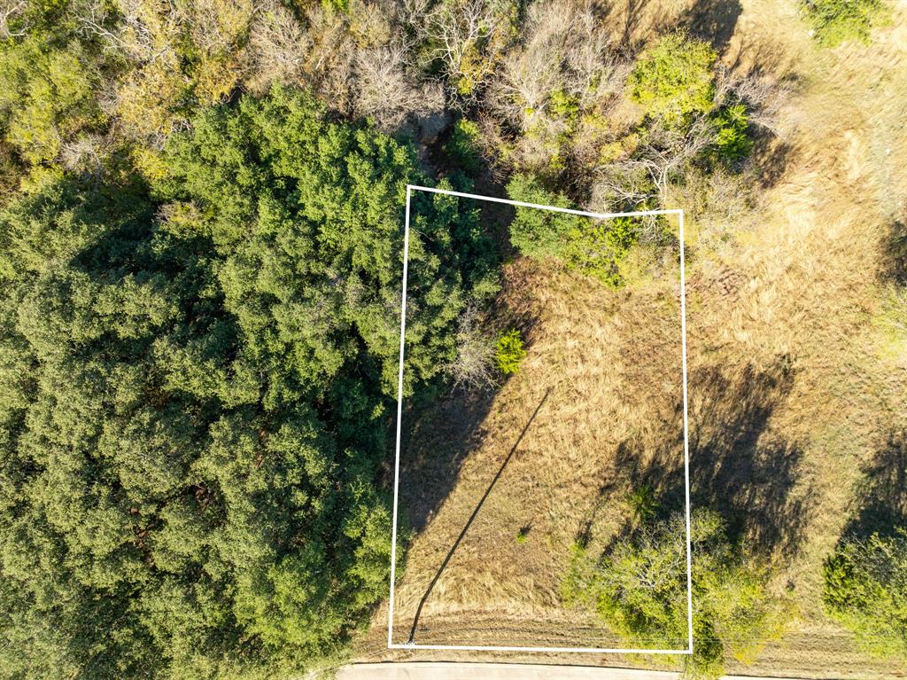 White Bluff #42 - Land