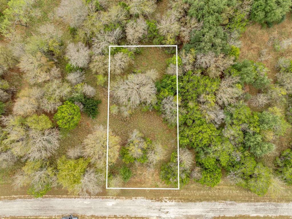 White Bluff #42 - Land