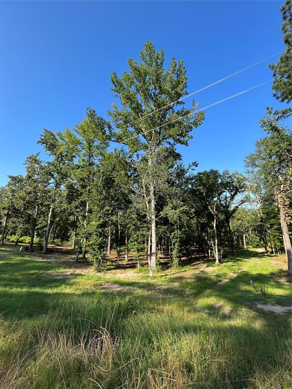 Legacy Shores - Land