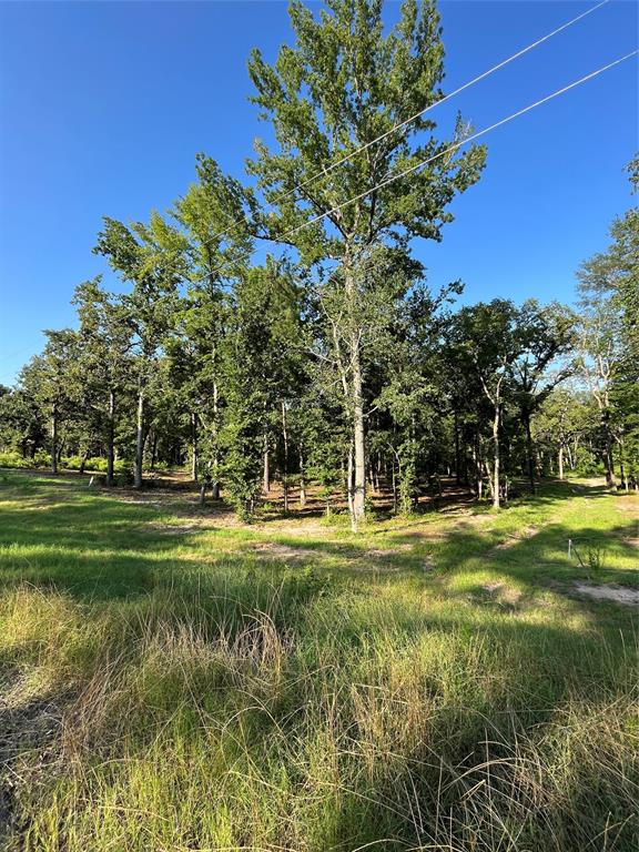 3226 Shadow Pine Drive