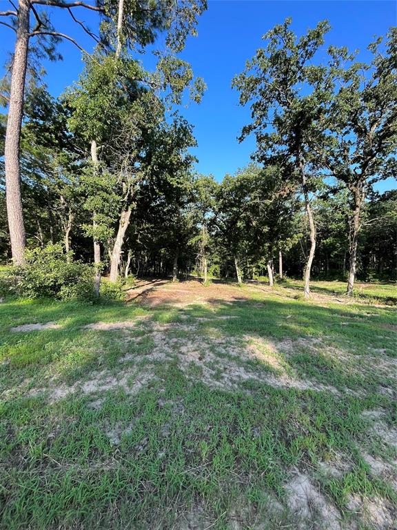 3226 Shadow Pine Drive
