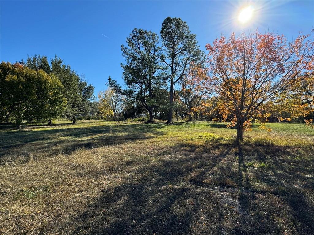 APN 442076 W Bells Boulevard