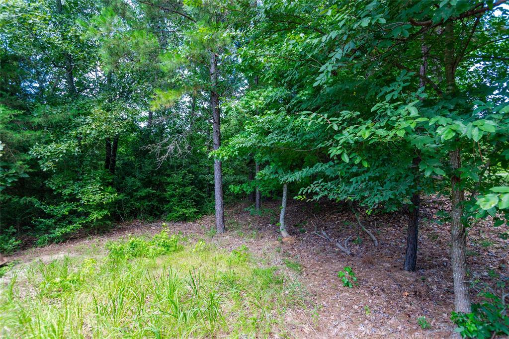 McGuffin N - Residential