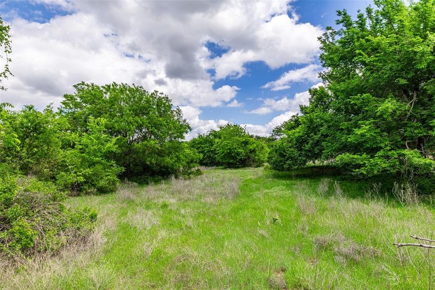 The property is a mixture of gently sloping open pasture, heavily treed and bushy areas along with several earthen ponds which are surrounded by scattered native trees and brush. The sought-after sandy soil here is ideal for raising horses and produces rich seed-bearing grass. The property is fenced on one side with barbed wire fencing. The property is located outside the city limits and is not subject to zoning restriction. It is in the Weatherford school district and has an agricultural exemption. Utilities are available to the property from local community electricity and water providers.

See Aerial attached in the Document section of this listing.