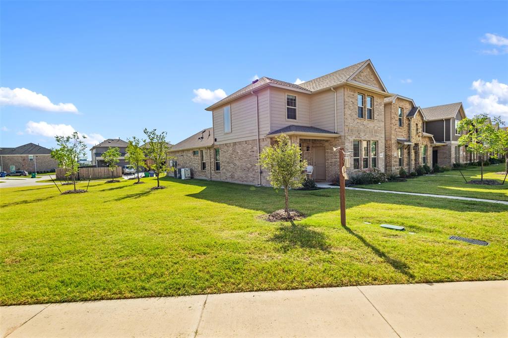 4812 Sparkling Pathway