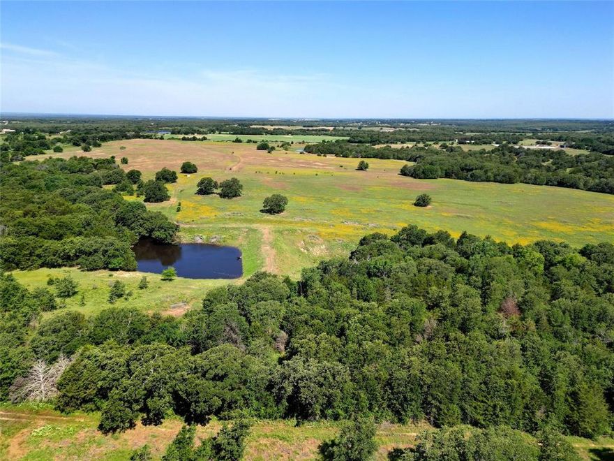 Just minutes from Alvord, this beautiful 160 acre ranch has over 2500 ft of frontage on FM 1655 North. Bordering the LBJ Grasslands on 2 sides, you will enjoy the adjoining 4000+ acres including 70+ miles of horseback riding trails and nature. Fenced and cross-fenced this property has open pasture and wooded areas with abundant wildlife. There is a water well for livestock on the property and 5 on-property ponds to fish. First time offered in over 85 years this is a unique and special property.