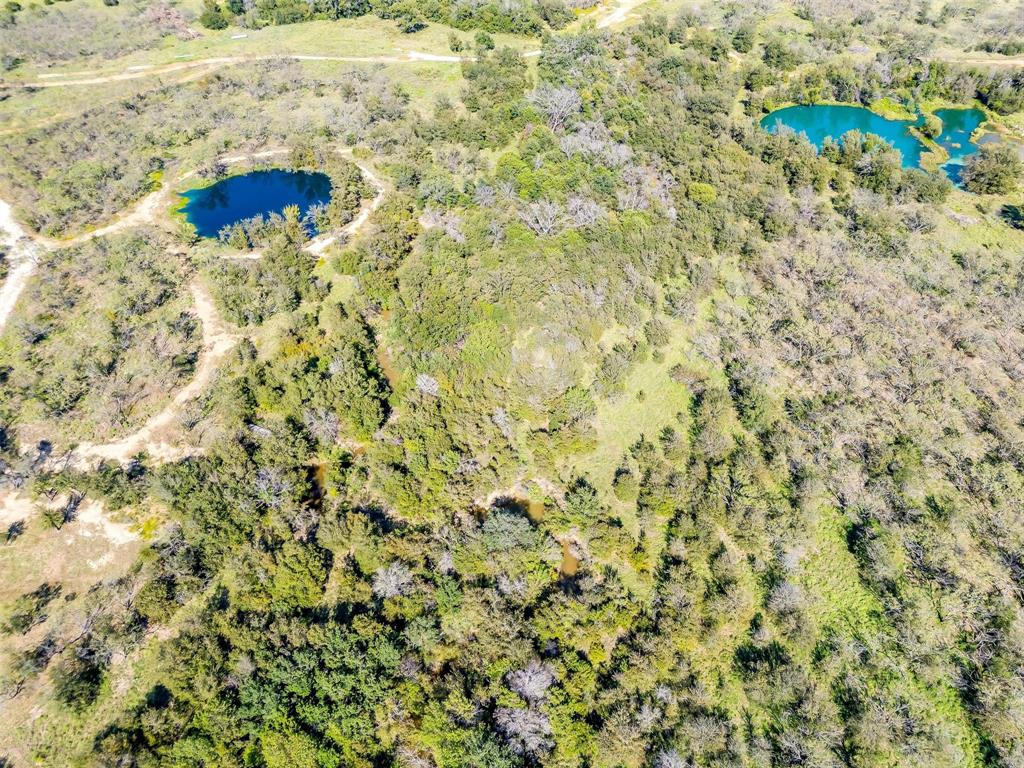 Capstone Ridge on the Brazos - Farm