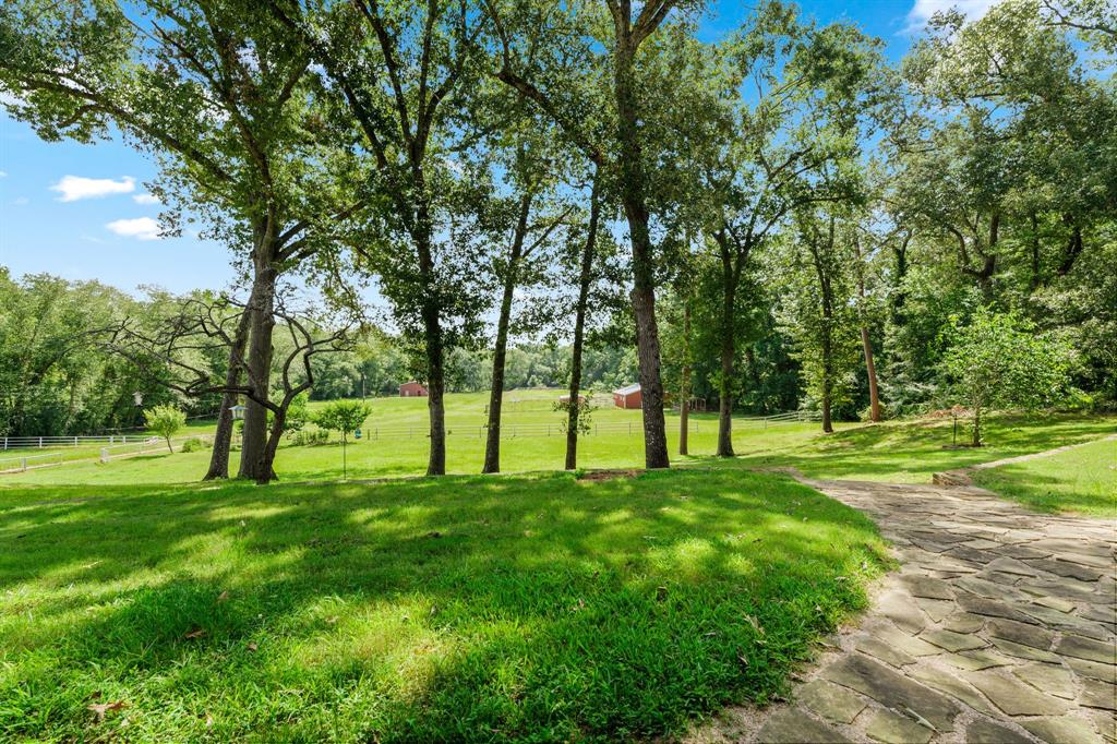 ABST A0378 C GREEN - Farm