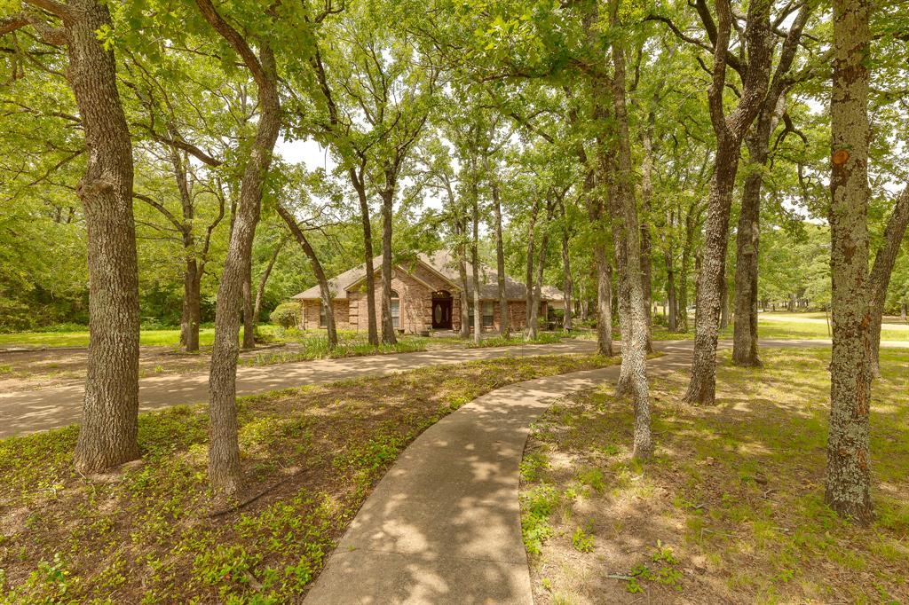 3556 Elmwood Drive