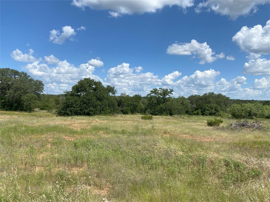 59 Shelby Ranch Drive