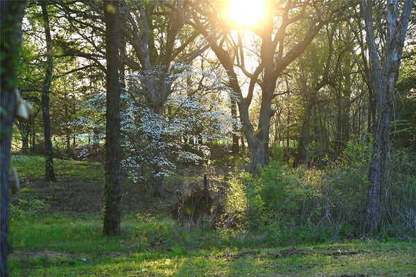 2211 FM 2029, TELEPHONE, TX 75488 - Image 3e68bbb3012543051abda2bf6cb9ddba/2237690776