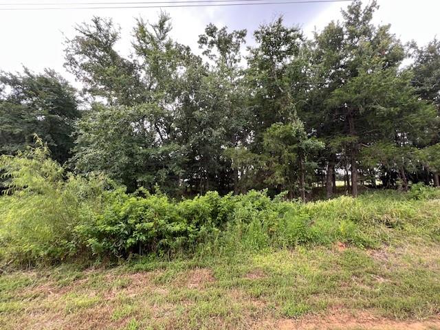 Palisades Add III - Land