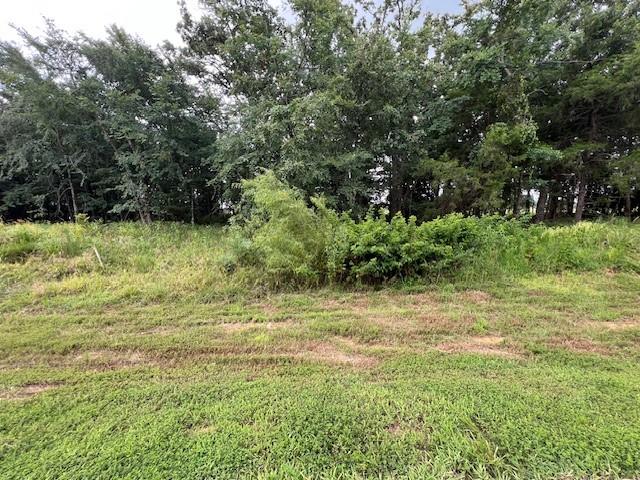 53 Pine Hills Lane
