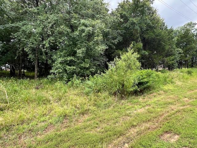 53 Pine Hills Lane