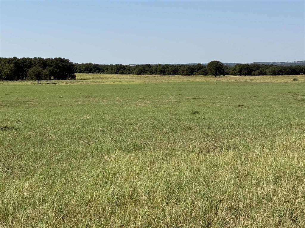 50 acA00927 THOMPSON, SINGLETON, ACRES 120.0, LABE - Land