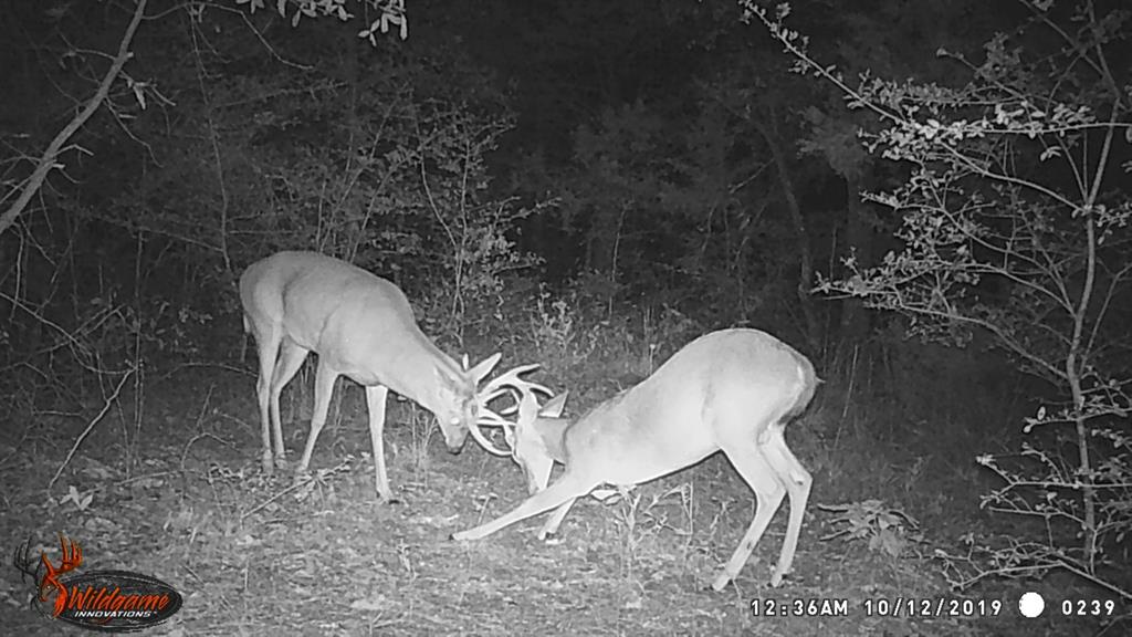 cross roads - Residential