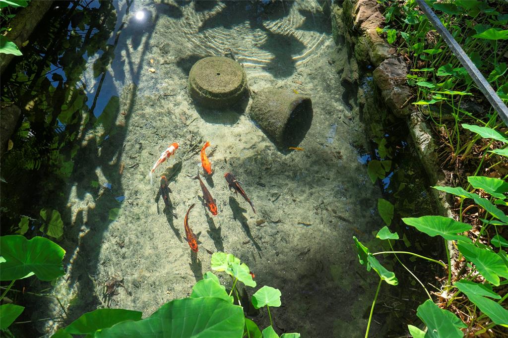 Tanglewood Townhomes Condominiums - Residential