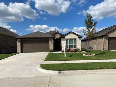 Photo of 1205 Parker Drive, Melissa, TX 75454 (MLS # 21350475)