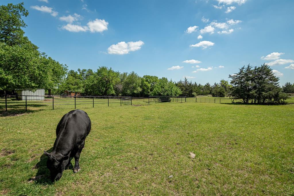 HP Horton Survey - Residential