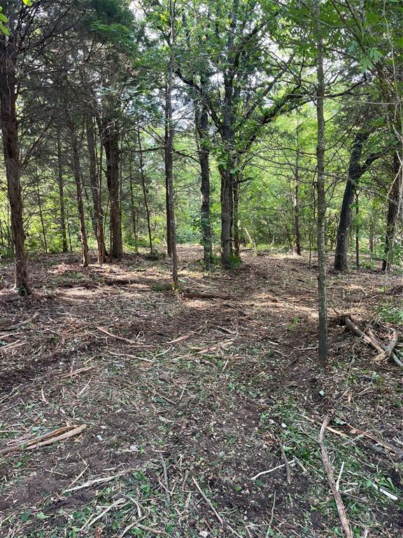 Hidden Hills Harbor - Land