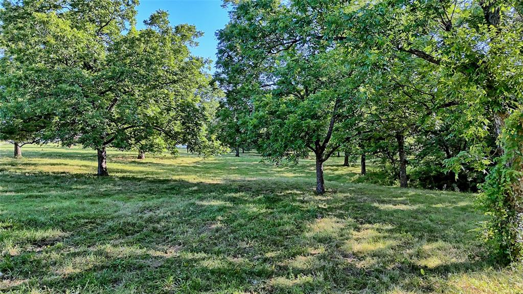 1272 County Road 131