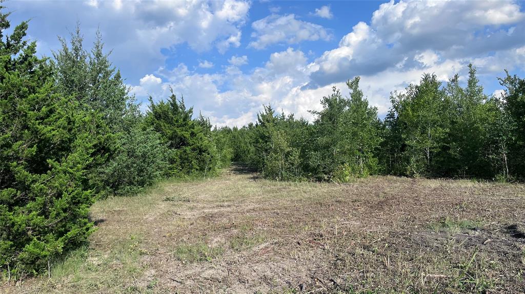 G-0672 KATTENHORN HENRY - Land