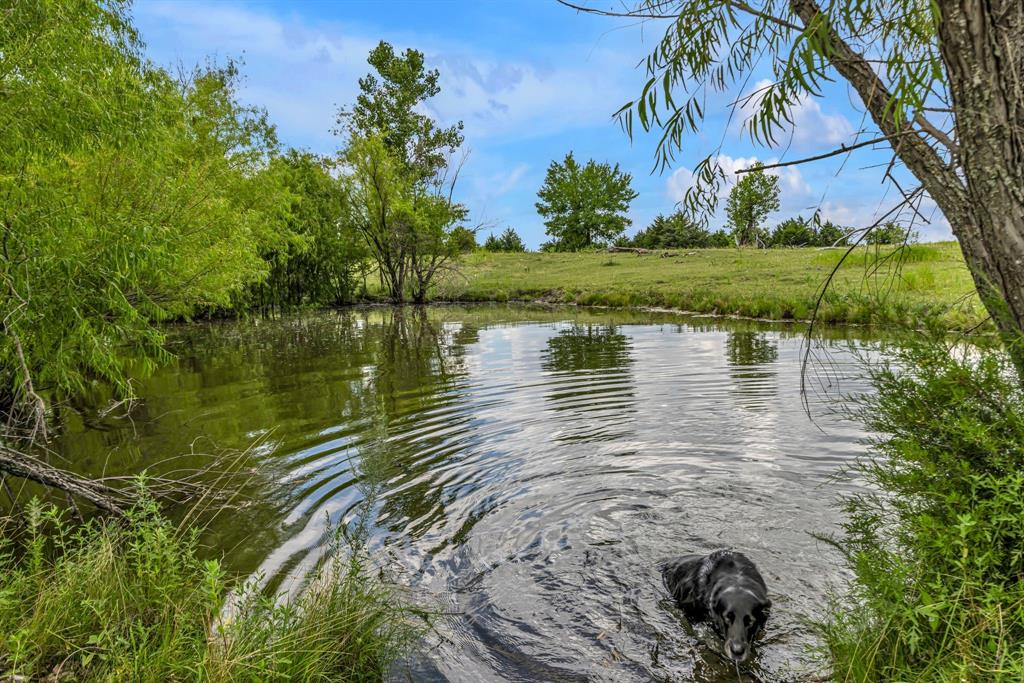 MARTHA MUSICK, 20.09 ACRES, & HOUSE - Residential