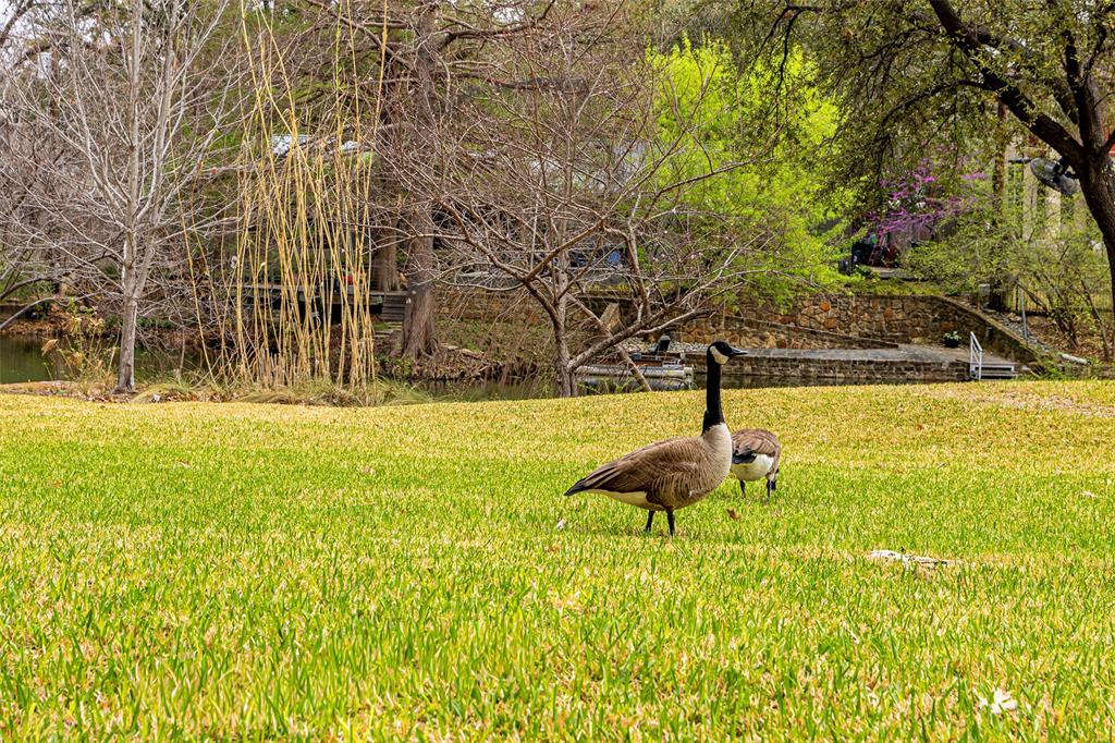 NORTH LAKE ESTATES 2ND INST - Residential