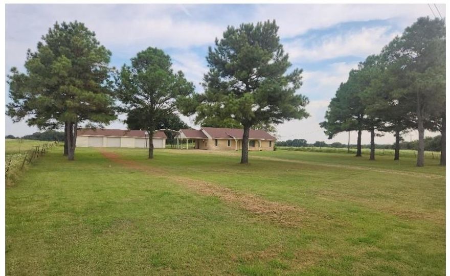 as you enter the driveway of 4121 Tokio Road, you will have 5 Mature Pine trees on each side, as well as Pecan and oak trees. House is in immaculate condition, very move in ready, washer,dryer,freezer room just off the kitchen, with door out to carport.