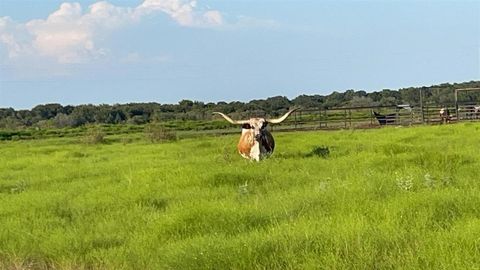 4565 County Road 140-A Stephenville TX 76401