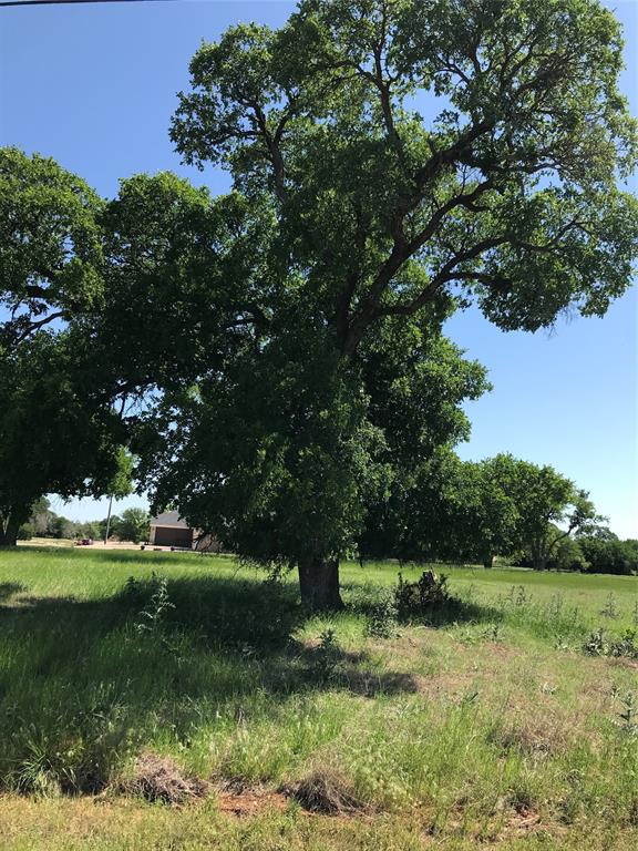 White Bluff #07 - Land