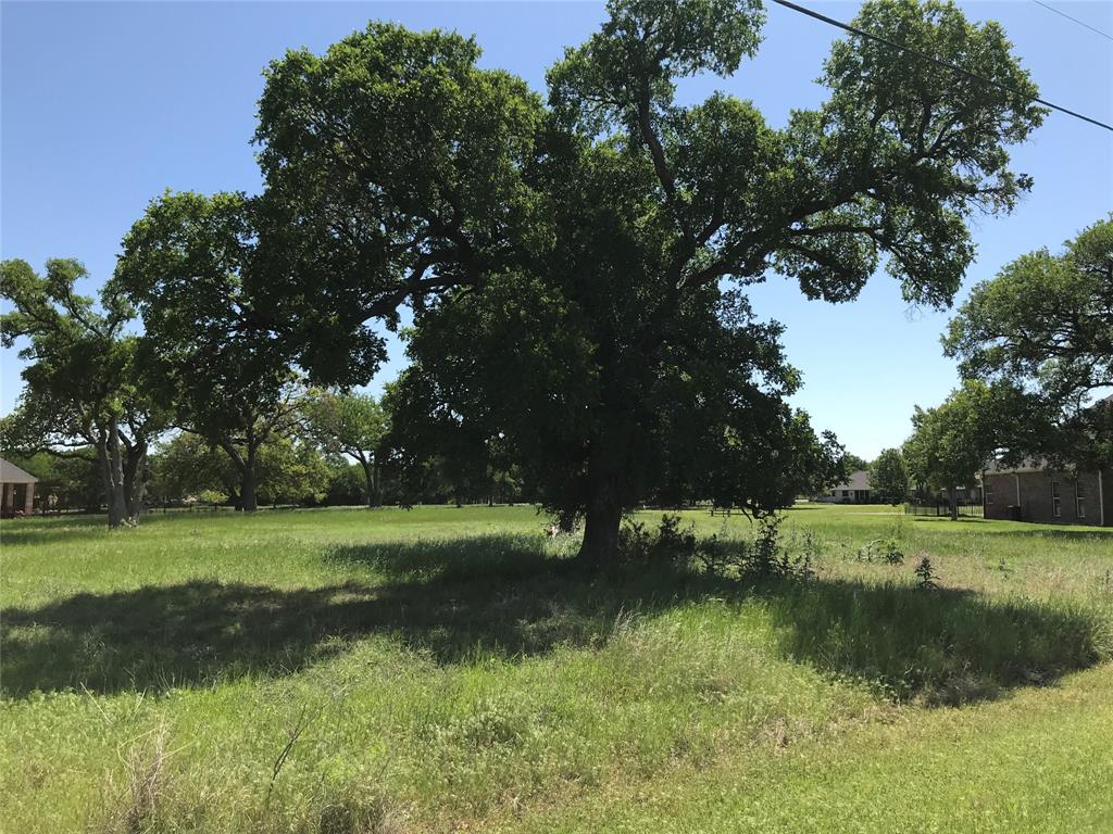 White Bluff #07 - Land