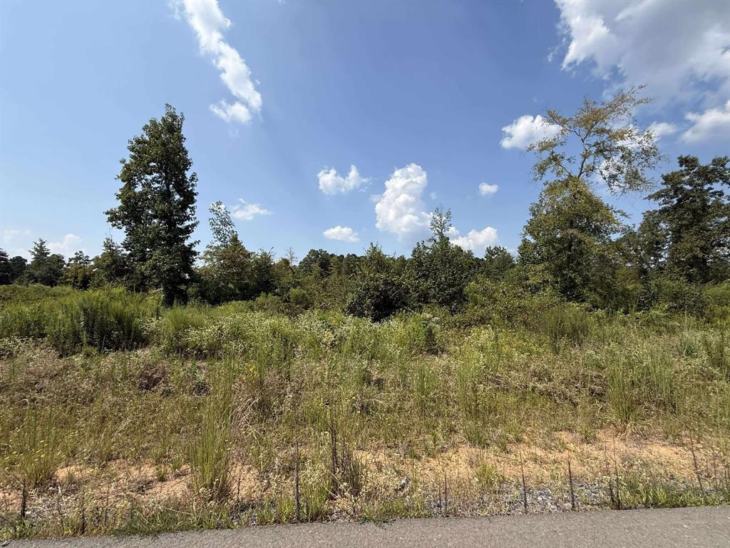 Pecan Point #3 - Land