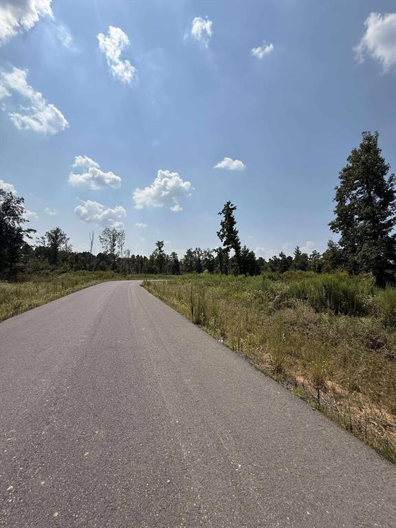 Pecan Point #3 - Land