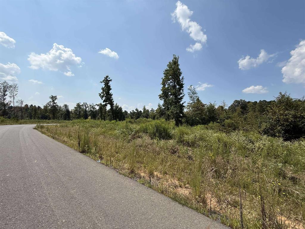 Pecan Point #3 - Land