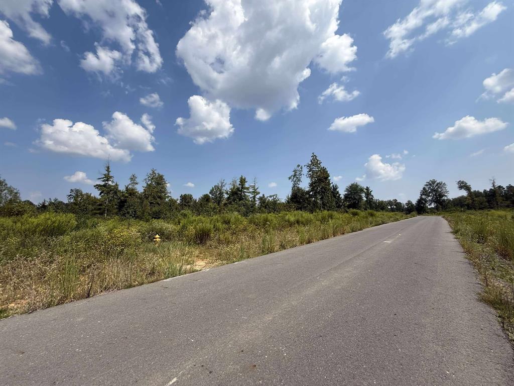 Pecan Point #3 - Land