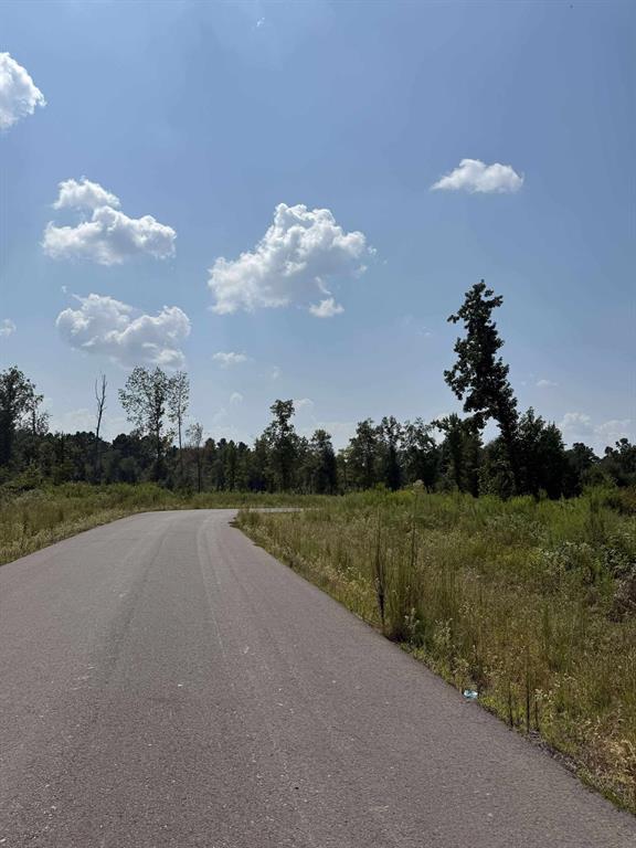 Pecan Point #3 - Land