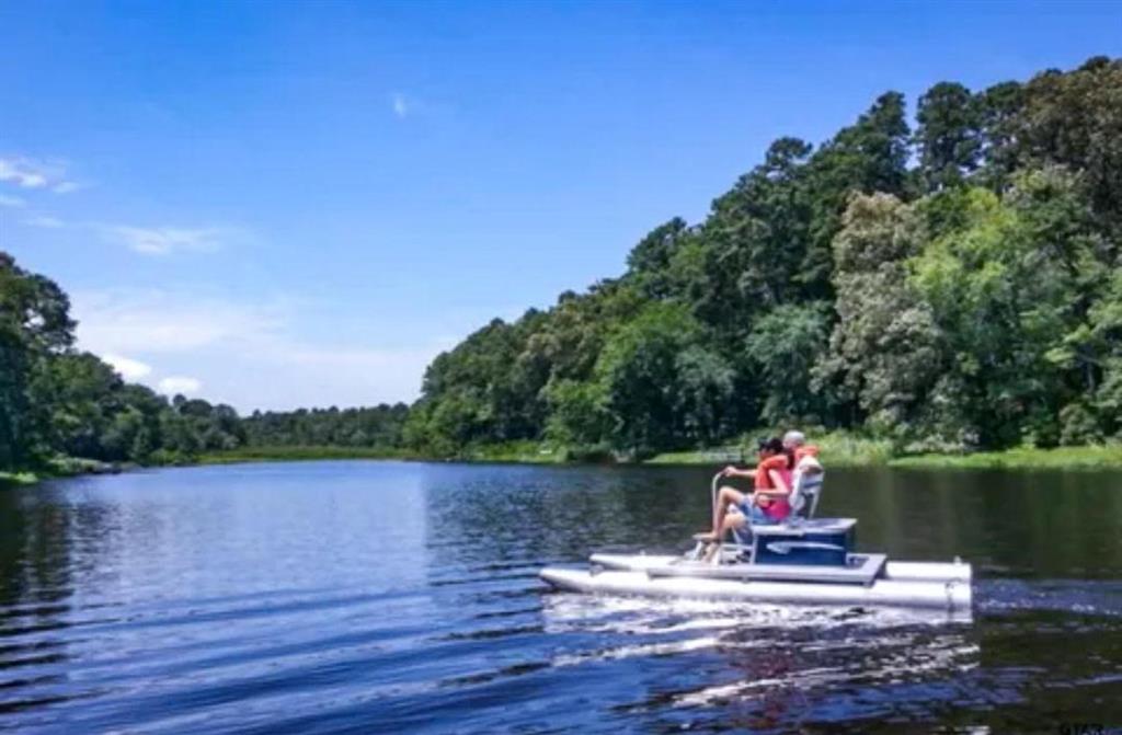 Holly Lake Ranch - Residential